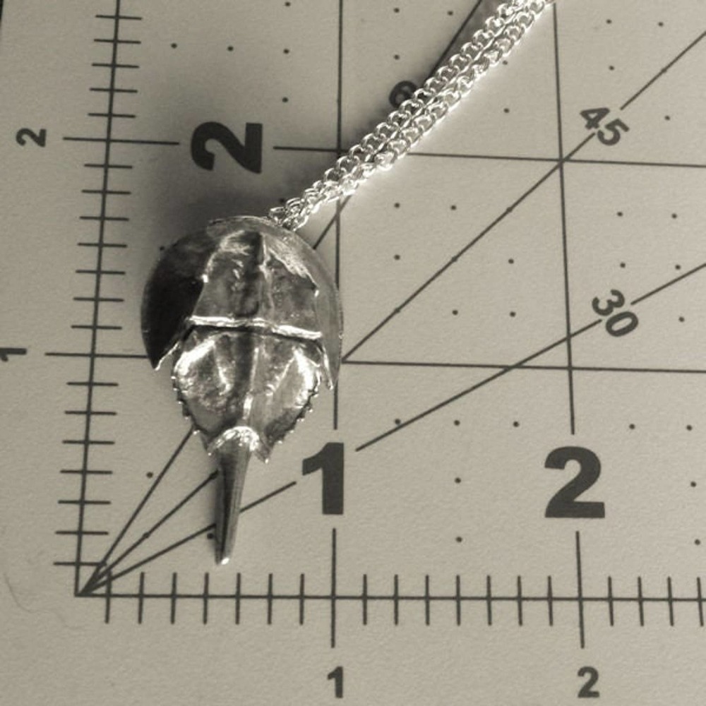Atlantic Horsehoe Crab Necklace A Fine Pewter Pendant 2043 - Picture 3 of 4